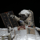 Illustration for article titled Cosmonauts Chuck Equipment Off The Station In Third October Spacewalk